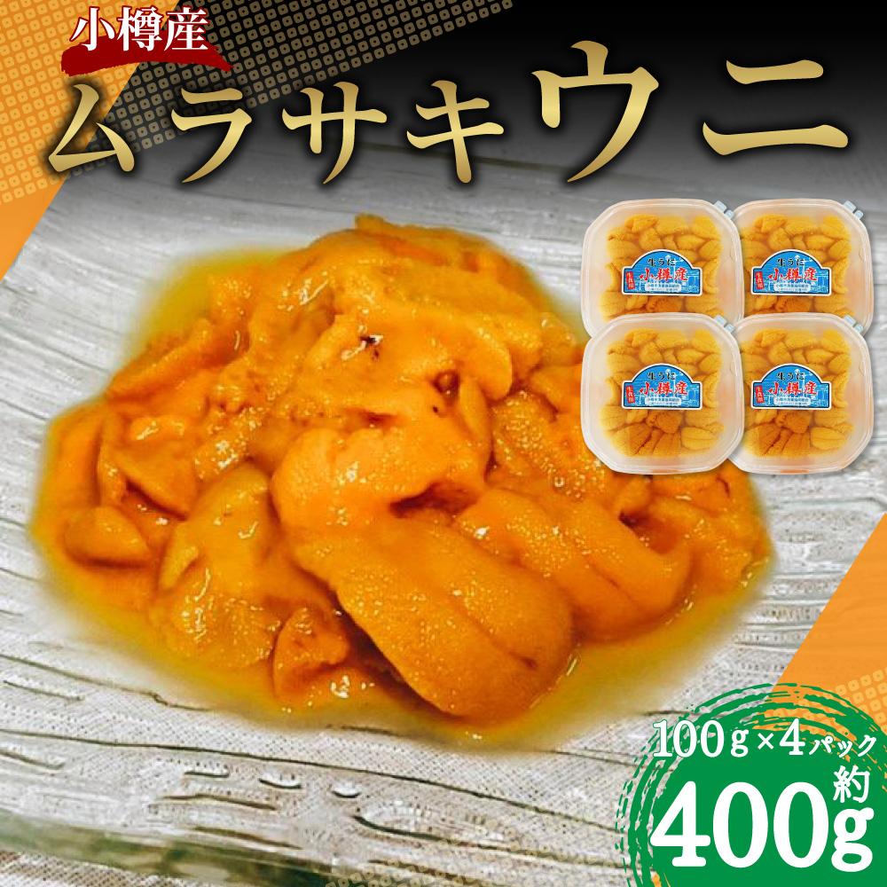 【ふるさと納税】小樽産 ムラサキウニ 塩水生ウニ 100g×4パック 合計約400g | うに 冷凍 刺し身 刺身 海鮮丼 魚介類 海産物 塩水うに 生ウニ ギフト 贈答用 贈り物 小樽市 北海道 送料無料