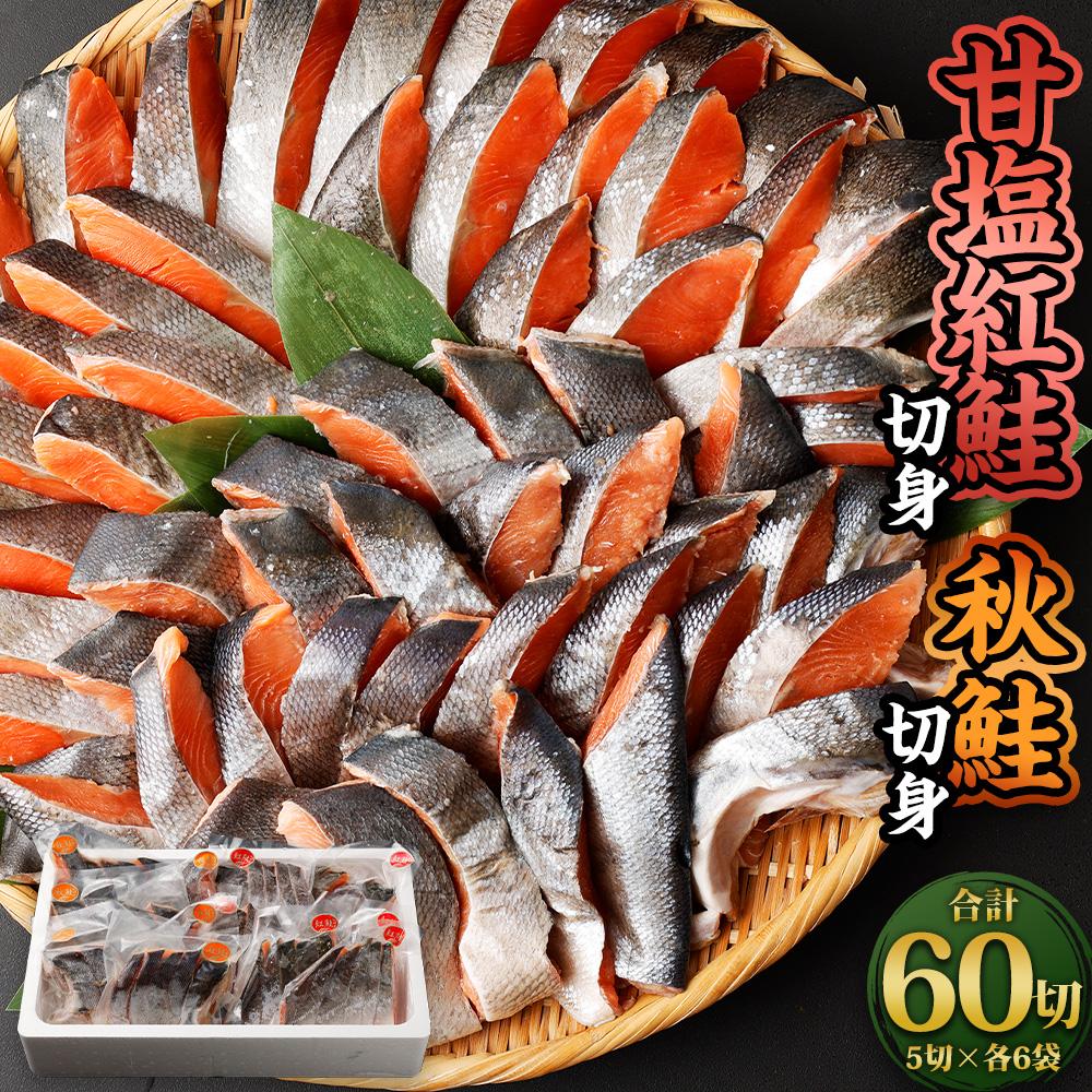 ڤդ뤵Ǽǡ۴űȺڿȡڿ 5(400g)6 60(4.8kg) |   㤱  ڿ ڤ ʬ ¸   ں  î ̳ƻ ̵