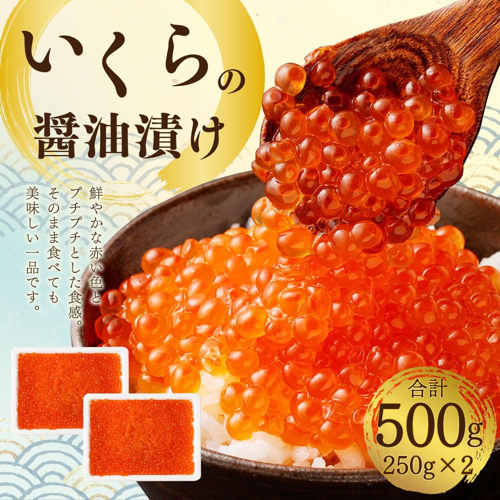 【ふるさと納税】いくらの醤油漬け 500g (250g×2) | いくら 醤油漬 醤油漬け いくら醤油漬 魚卵 冷凍 珍味 おつまみ おかず 海鮮 魚介類 お取り寄せ 小樽市 北海道 送料無料