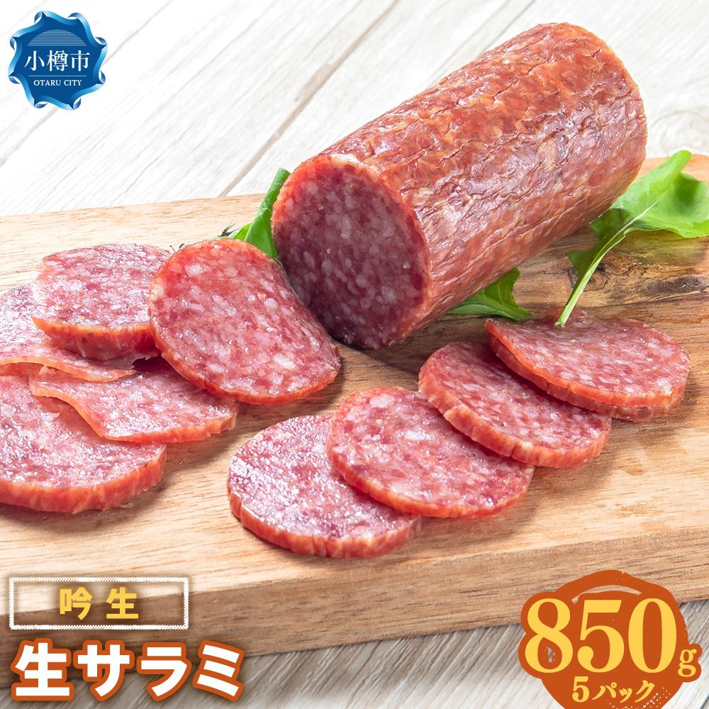 【ふるさと納税】吟生 生サラミ 170g×5パック (850g)