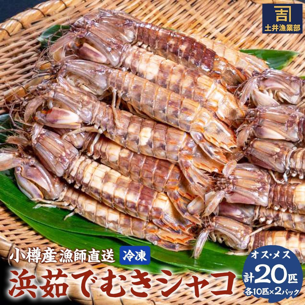 【ふるさと納税】【内容量選択可能】小樽産 漁師直送 浜茹でむきシャコ (冷凍) オス10匹・メス10匹<計2パック>またはオス10匹×2・メス10匹×2<計4パック> | シャコ 茹で 冷凍 小分け 北海道産 小樽市 送料無料 【2025年12月下旬発送予定】