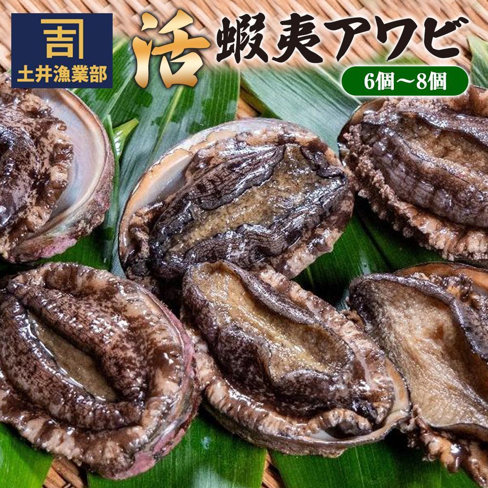 [数量が選べる]漁師直送 北海道産 活蝦夷アワビ (6個〜8個) または (10個〜12個) | あわび 鮑 貝類 魚介類 冷凍 小樽市 北海道 送料無料[2025年12月下旬より順次発送]