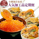 【ふるさと納税】【2回定期便】小樽海洋水産 人気加工品 定期便 スープカレー カレー シーフードスープカレー シーフード チキンスープカレー チキン セット い...
