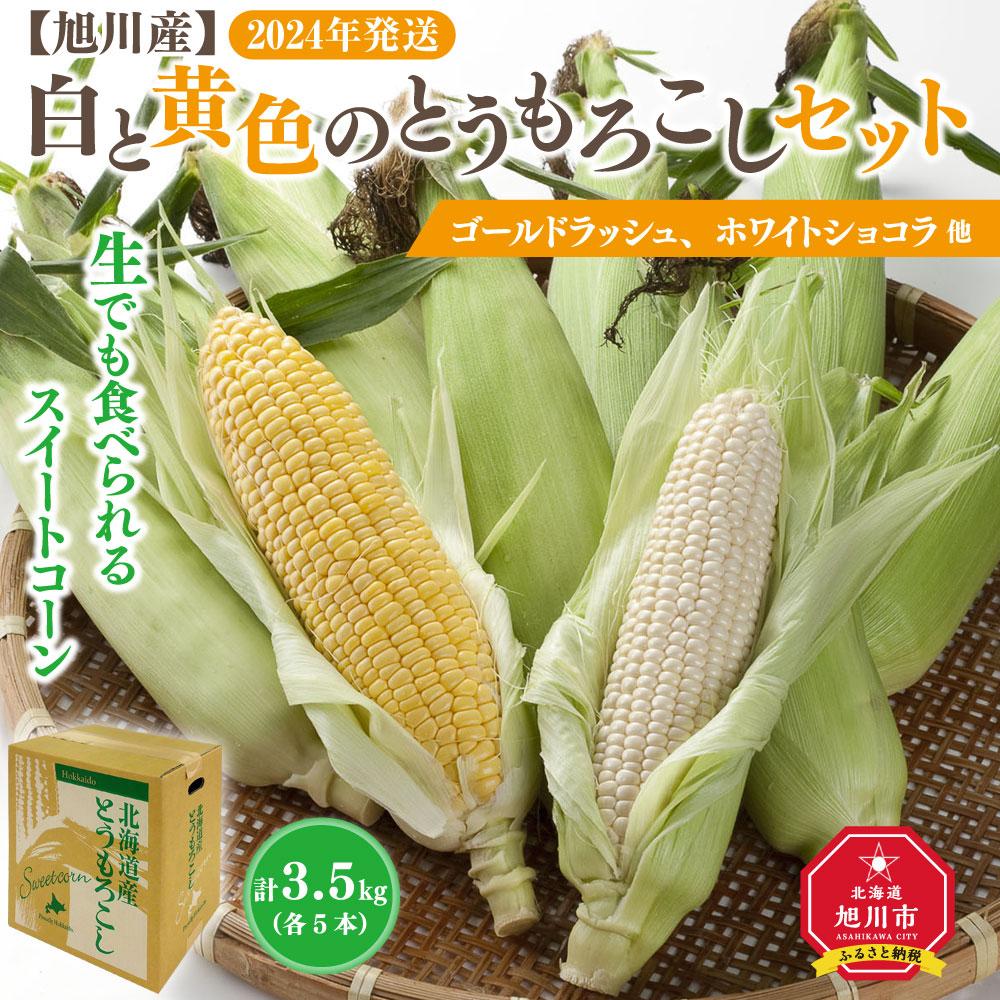 【ふるさと納税】【先行予約】【旭川近郊産】白と黄色のとうもろこしセット　各5本（計3.5kg）(2024年8月上旬発送開始予定)_00094 | 白いとうもろこし セット ホワイトショコラ ゴールドラッシ 旭川市ふるさと納税 北海道ふるさと納税