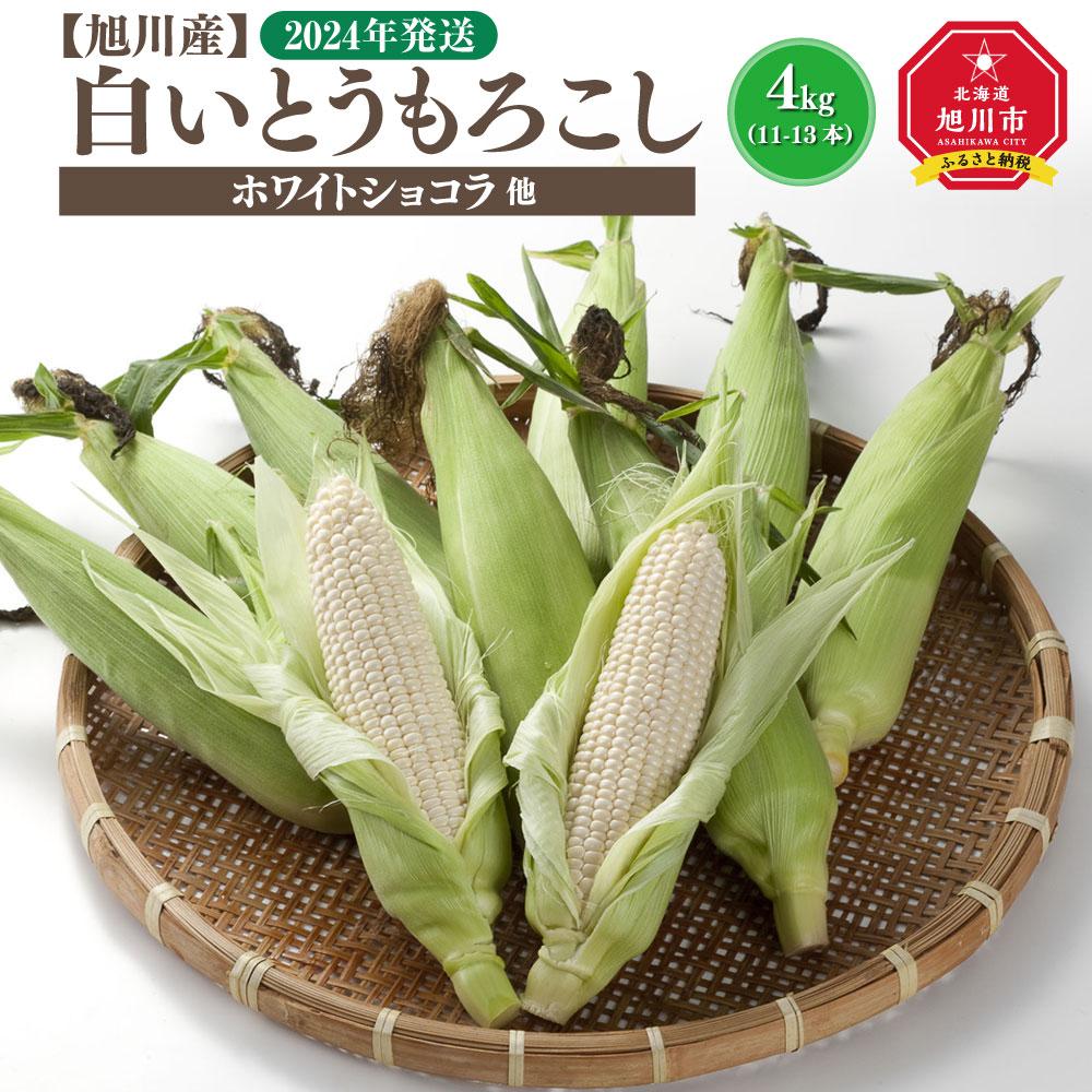 白いとうもろこし（ホワイトショコラ他）4kg＜11-13本＞(2024年8月上旬発送開始予定)_00093 | とうもろこし コーン 白とうもろこし スイートコーン ホワイトショコラ 甘い 旬 夏野菜 野菜 お取り寄せ 旭川市 北海道 送料無料