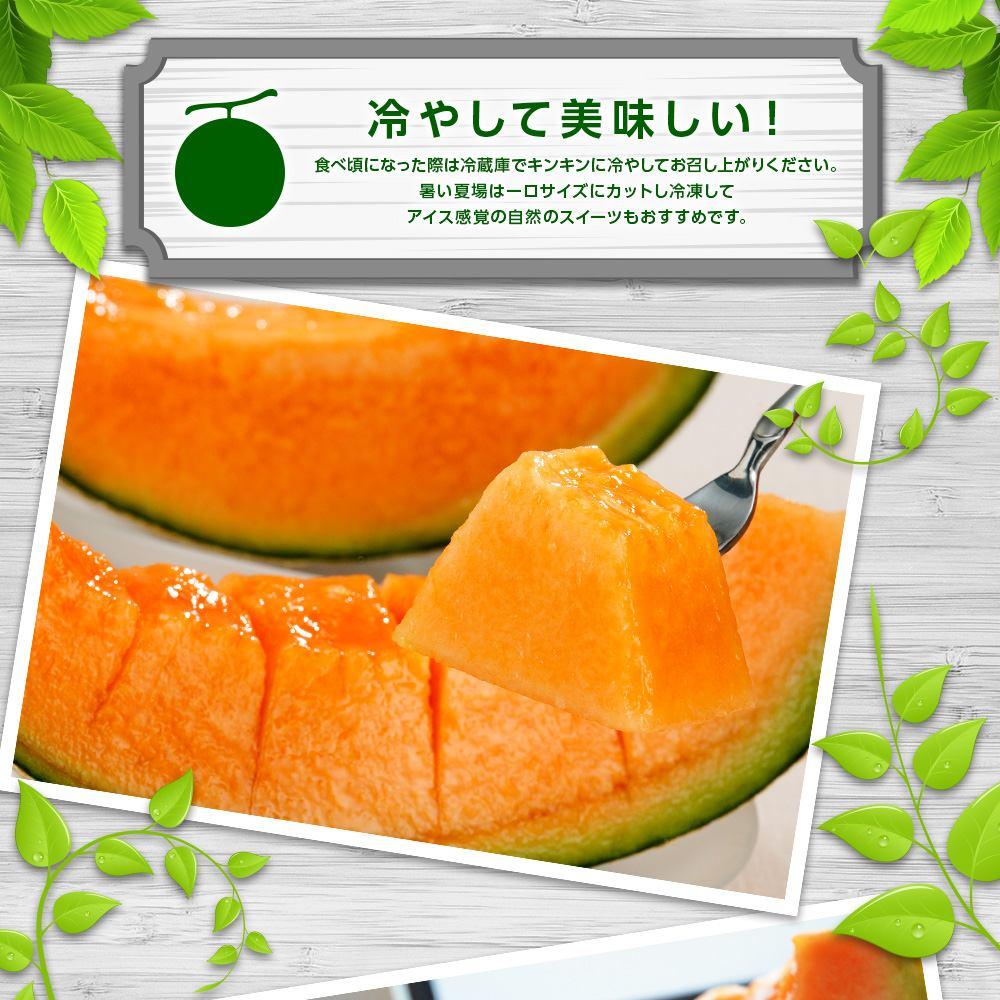 【ふるさと納税】【先行予約】北海道産赤肉メロン合計3kg前後（2玉入）2026年7月中旬から順次発送予定【 果物 くだもの フルーツ 】_01979 | メロン 赤肉 果物 フルーツ 旬 お取り寄せ 大玉 北海道産 冷蔵 北海道 旭川市 送料無料