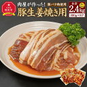 【ふるさと納税】肉屋が作った!豚生姜焼き 300g(タレ込み)×8パック計2.4kg_03191 | 肉 お肉 にく 食品 北海道産 人気 おすすめ 送料無料