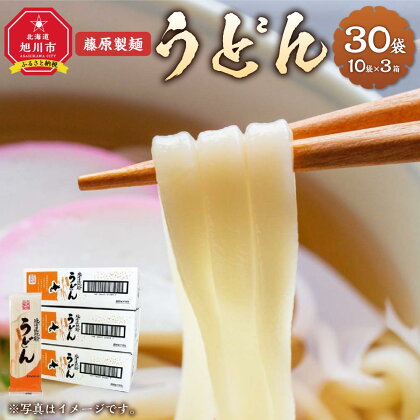 藤原製麺製造 うどん 乾麺_03483 | 麺 食品 加工食品 人気 おすすめ 送料無料