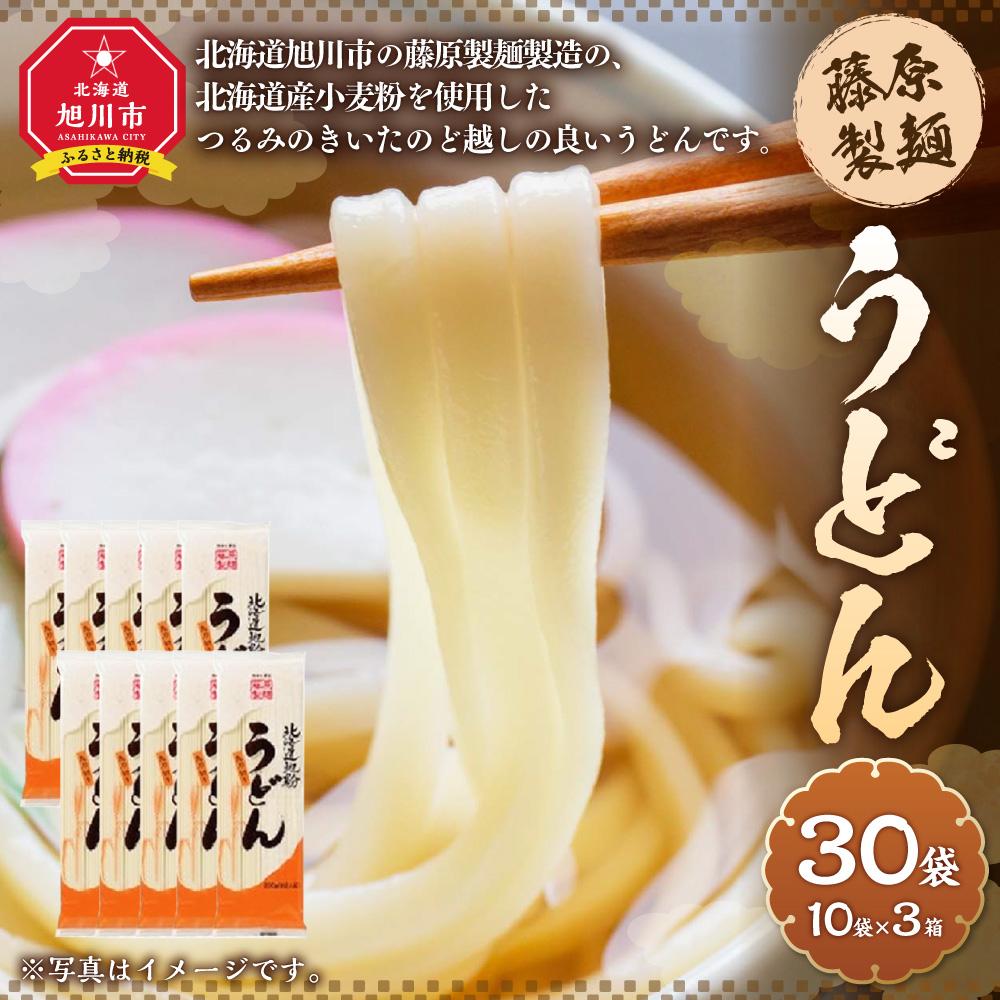 【ふるさと納税】藤原製麺製造 うどん 乾麺_03483 | 麺 食品 加工食品 人気 おすすめ 送料無料