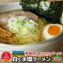 【ふるさと納税】【父の日ギフト】白くま塩ラーメン　20袋_0