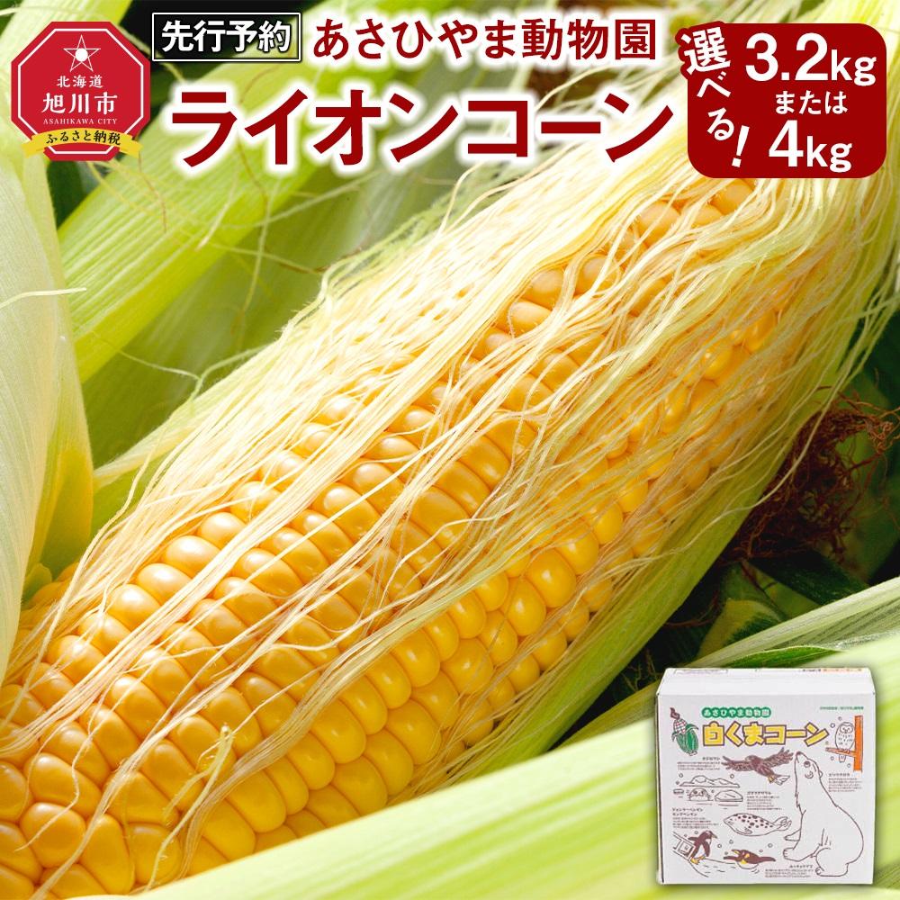 7位! 口コミ数「6件」評価「4.83」【先行予約　容量選択可能】あさひやま動物園ライオンコーン約3.2kg～4kg(ゴールドラッシュ8～10本)2024年8月下旬～発送開始予定_･･･ 