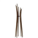 【ふるさと納税】旭川家具 コサイン branchコートスタンド_01443 | コートスタンド コート掛け フック コート インテリア 天然木 旭川市ふるさと納...