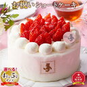 【ふるさと納税】【サイズ選択可能】お祝いショートケーキ 4号又は 5号サイズ | 菓子 おかし スイーツ デザート 食品 人気 おすすめ 送料無料