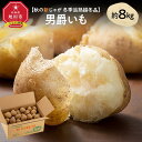 【ふるさと納税】【先行予約】冬季追熟 越冬品 男爵イモ 約8kg(2026年1月中旬~発送予定)北海道産じゃがいも ジャガイモ _01986 | じゃがいも 北海道産 男爵 追熟 野菜 芋 いも おかず 惣菜 お取り寄せ 旭川市 北海道 送料無料