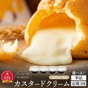 【ふるさと納税】【1回または定期便】ありそうでなかった!名物シュークリームの中身のみ(300g×4個)_【 シ ュークリーム 菓子 お菓子 おかし スイーツ デ...