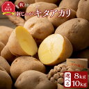【ふるさと納税】【先行予約】【容量選択可能】秋とれたて 新じゃが キタアカリ 8kgo r 10kg(2025年10月発送開始予定)北海道産じゃがいも ジャガイ...