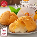 【ふるさと納税】梅屋名物「しゅうくりぃむ」 12個 【1回・定期便から選択可】【 シュークリーム 菓子 お菓子 おかし スイーツ デザート 洋菓子 旭川 北海道...