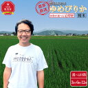 【ふるさと納税】定期便 6kg(3kg×2袋) ゆめぴりか 精米 特別栽培米 令和7年産 3ヶ月 or 6ヶ月 or 12ヶ月 毎月発送(10月より発送予定) | 米 お米 こめ 食品 人気 おすすめ コスパ 5kg 10kg