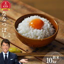 【ふるさと納税】【配送月選択可能】《先行予約》令和7年度産 ななつぼし 白米 10kg _03887