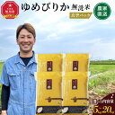【ふるさと納税】【配送月・容量選択可能】令和7年産 ゆめぴりか 無洗米 真空パック5kg~20kg