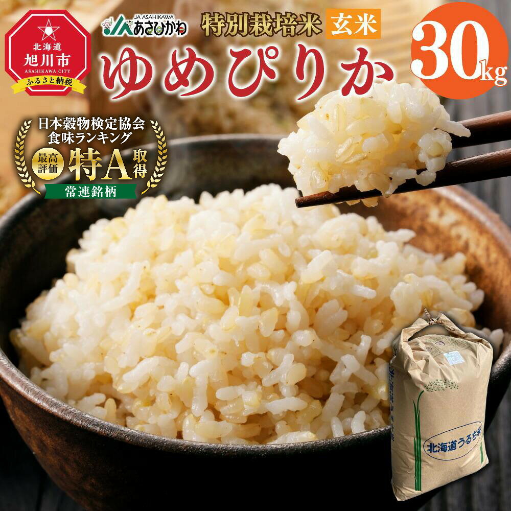 【ふるさと納税】《令