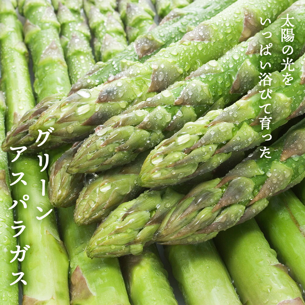 【ふるさと納税】 先行予約 春収穫グリーンアスパラ Lサイズ 1kg(2022年6月上旬～発送開始予定)野菜 アスパラ グリーンアスパラ 旭川市ふるさと納税 北海道ふるさと納税