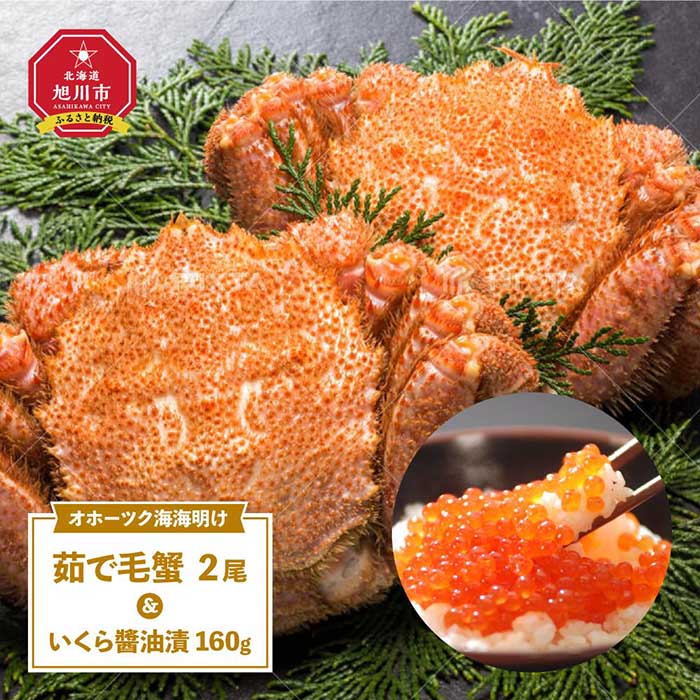 【ふるさと納税】オホーツク海 海明け 茹で毛蟹 2尾＆いくら醤油漬160g | 蟹 毛ガニ かに いくら 醤油漬け 魚卵 ボイル 下処理済 加熱済 旭川市 北海道 お取り寄せ 送料無料