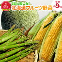 3回の楽しみ 北海道 フルーツ 野菜（R6年5月下旬から発送開始予定）_02169 | アスパラ アスパラガス グリーンアスパラ メロン 赤肉メロン とうもろこし 玉蜀黍 とうきび 頒布会 北海道産 旭川産 北海道 旭川市 送料無料 冷蔵 クール便 甘い 糖度