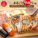 【ふるさと納税】すぎもとファーム まるごと9種 ハム・ソーセージセット_01077 | ソーセージ ポークウィンナー 荒挽ウィンナー 龍のフランク キンダーヴィルスト フランクフルト ハム ベーコン セット 食べ比べ お楽しみ 旭川市ふるさと納税 北海道ふるさと納税