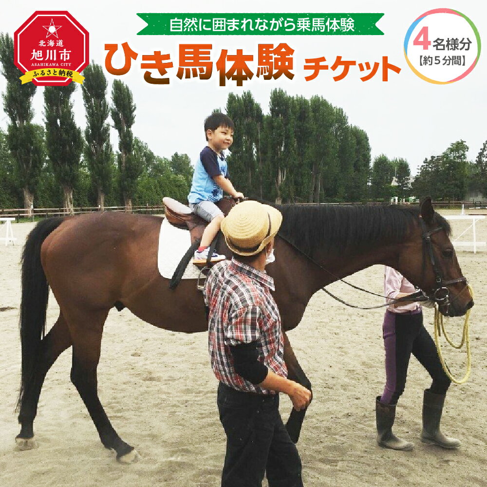 ひき馬体験 4名様分_01540 | 体験 レジャー チケット 家族 乗馬 騎乗 屋内馬場 馬 ふれあい ひき馬 旭川市ふるさと納税 北海道ふるさと納税 アウトドア 旭川市 北海道 送料無料