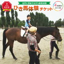 【ふるさと納税】ひき馬体験　4名様分 | 体験 レジャー チケット 家族 乗馬 騎乗 屋内馬場 馬 ふれあい ひき馬 旭川市ふるさと納税 北海道ふるさと納税 アウトドア 旭川市 北海道 送料無料