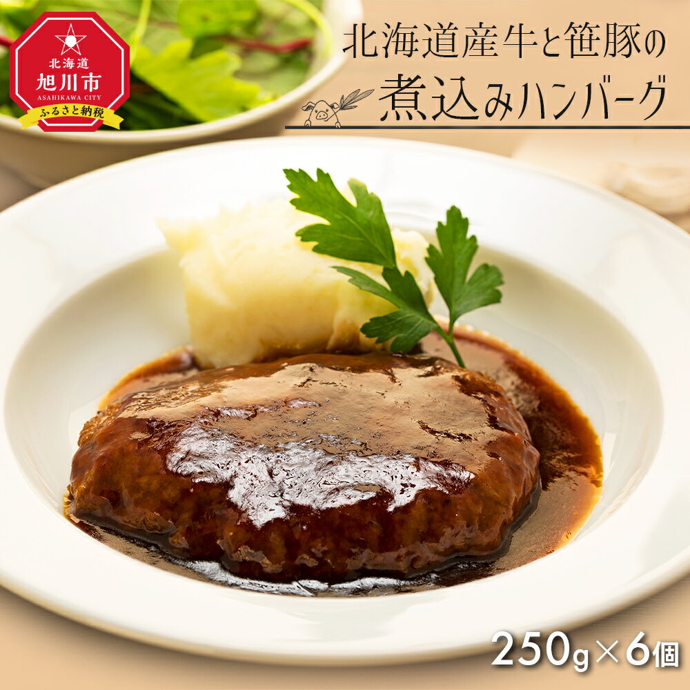 【ふるさと納税】北海道産牛と笹豚の煮込みハンバーグ250g×6個セット | 温めるだけ レンジ 湯煎 肉 ハンバーグ セット 煮込みハンバーグ 豚肉 牛肉 合い挽き 個包装 冷凍 保存 旭川市 北海道ふるさと納税 北海道 送料無料のサムネイル