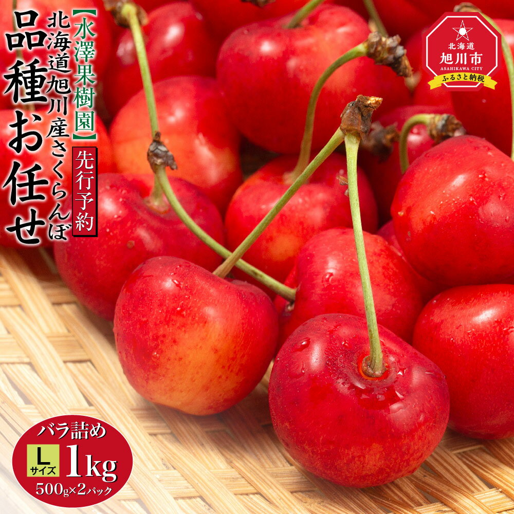 【ふるさと納税】【先行予約】 Lサイズ バラ詰め1kg(500g×2パック) 水澤果樹園 「品種お任せ」(2023年6月末順次発送予定) | 佐藤錦 紅秀峰 南陽 べにてまり 紅香 天香錦 紅きらり 大将錦 果物 くだもの フルーツ 北海道産 旭川産のサムネイル