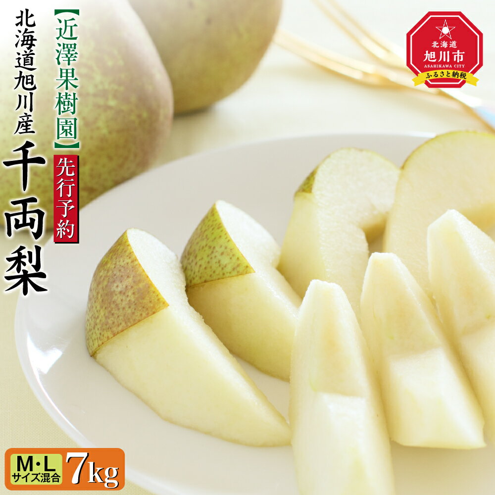 [先行予約]近澤果樹園 千両梨 7kg(MLサイズ混合)(2025年10月中旬より発送予定)_01176 | なし ナシ 梨 果物 フルーツ 秋 旬 旭川市ふるさと納税 北海道ふるさと納税