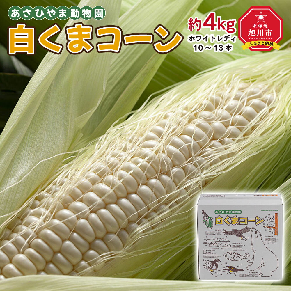 全国総量無料で 糸島トウモロコシ もきっこ 黄 8 10本 糸島市 Azh001 Ecoeco Taizen Com