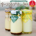 【ふるさと納税】〜新鮮オーガニック牛乳を使用〜手づくりプリン