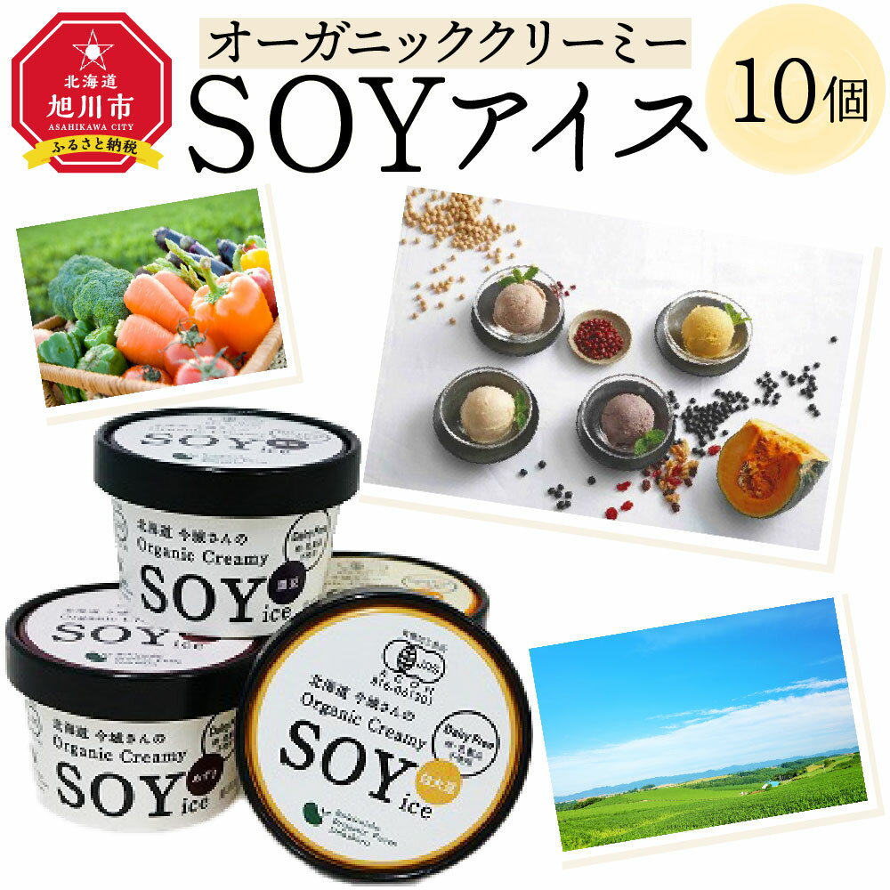 【ふるさと納税】【安心安全・有機JAS認定】オーガニッククリーミーSOYアイス10個入り_00179 | アイス オーガニック 白大豆 黒豆 あずき かぼちゃ 旭川市ふるさと納税 北海道ふるさと納税のサムネイル