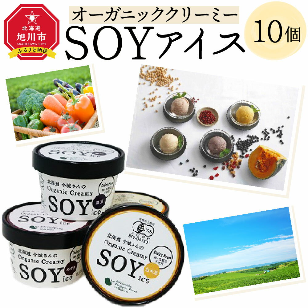 楽天北海道旭川市　ふるさと納税【ふるさと納税】【安心安全・有機JAS認定】オーガニッククリーミーSOYアイス10個入り_00179 | アイス オーガニック 白大豆 黒豆 あずき かぼちゃ 旭川市ふるさと納税 北海道ふるさと納税