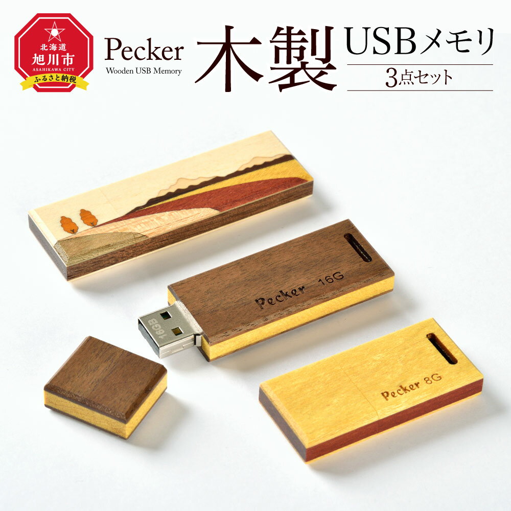 木製USBメモリ 3点セットUSBメモリ 木製 木 キャップ付き 16g 8g 旭川市ふるさと納税 北海道ふるさと納税