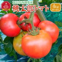 【ふるさと納税】旭川市西神楽産 桃太郎トマト4kg(2025年6月中旬~発送開始予定)_00960 | 野菜 トマト 先行予約 桃太郎トマト 旭川市ふるさと納税 北海道ふるさと納税