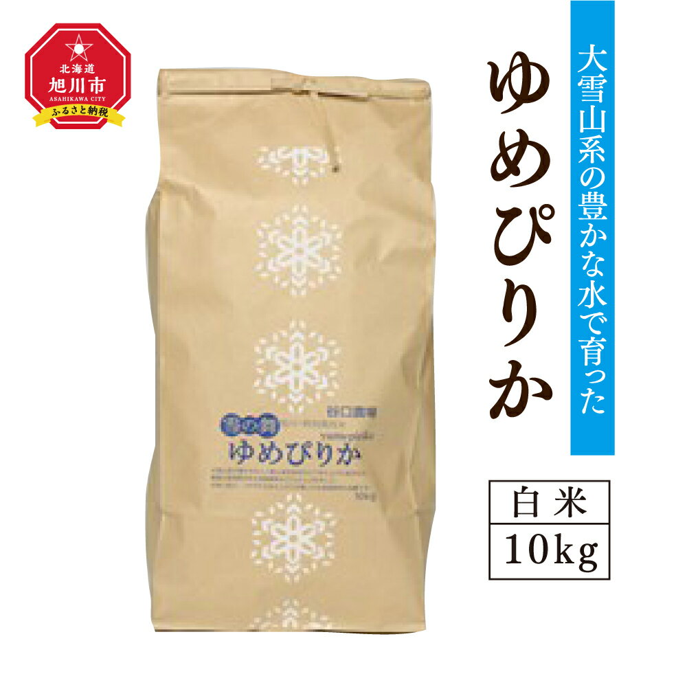 【ふるさと納税】令和4年度産　ゆめぴりか　白米10kg　～大