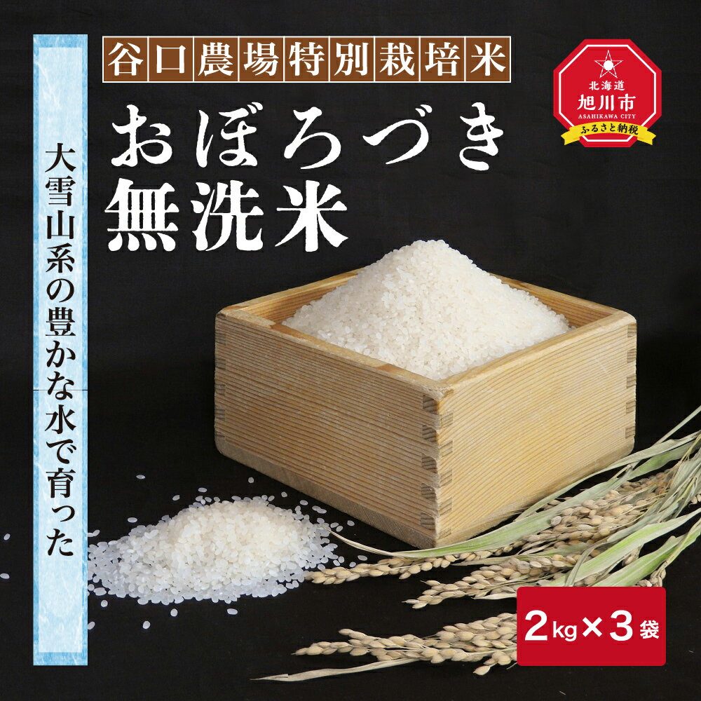 【ふるさと納税】令和5年産 おぼろづき無洗米2kg×3袋_01259 | 米 白米 無洗米 北海道米 旭川米 特別栽培米 旭川市ふるさと納税 北海道ふるさと納税