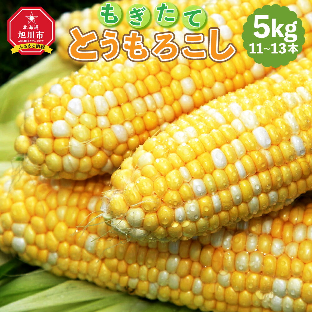 【先行予約】もぎたてとうもろこし 5kg(11～13本)＜2024年8月上旬～順次発送＞_01074 | とうもろこし 旭川市ふるさと納税 北海道ふるさと納税