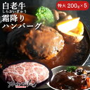 【ふるさと納税】道産和牛ハンバーグ（200g）5個入り 