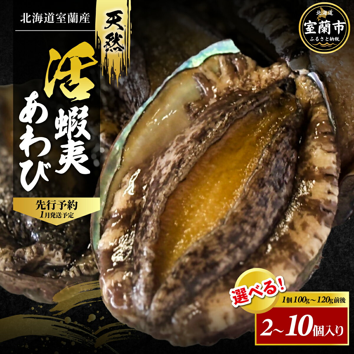 【ふるさと納税】北海道室蘭産 天然活蝦夷あわび 選べる 2個入 ～ 10個入（1個100g～120g前後）（2026...