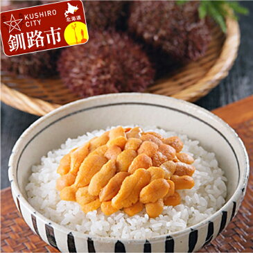 【ふるさと納税】【食べ比べセット】生うに折200g&塩水うに100g Ka403-D006