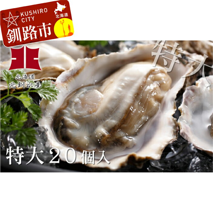 【ふるさと納税】生牡蠣20個入（釧路管内産特大サイズ120g〜150g） Ho202-B084 ふるさと納税 牡蠣 【2022年4月から5月のお届けになります】