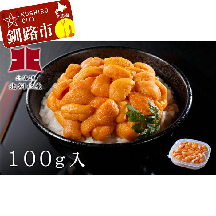 【ふるさと納税】生うに（無添加えぞばふん）100g入1個入（塩水パック） Ho205-B081