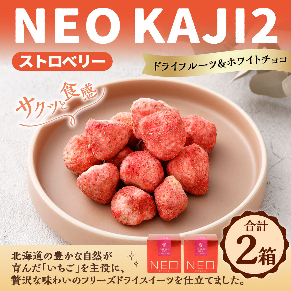【ふるさと納税】NEO KAJI2【 ストロベリー】ドライフルーツ×ホワイトチョコ 2箱 浸みチョコいちご フリーズドライスイーツ ホワイトチョコレート チョコレート いちご イチゴ 苺 フルーツ くだもの 果物 スイーツ お菓子 デザート おやつ 送料無料 【14営業日以内に発送】 f012068-kushiro-10003092 北海道釧路市 サンプル画像2