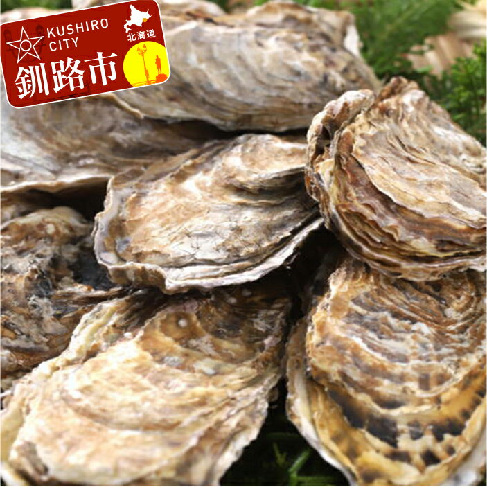 【ふるさと納税】【ぷりっぷりで濃厚！】釧路管内産【活】牡蠣（特大）8個 北海道 釧路 ふるさと納税 牡蠣 かき カキ 魚介類 海鮮 海産物 貝 海のミルク F4F-0611のサムネイル